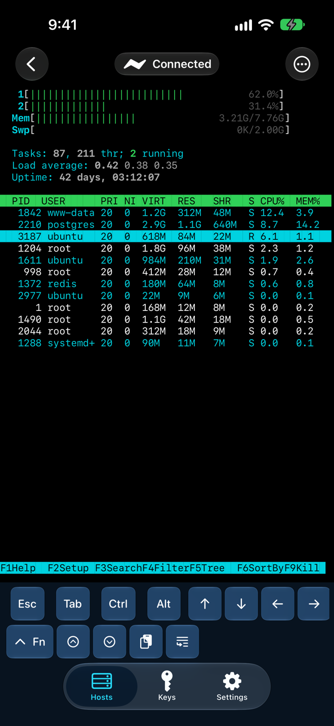 SSHWave terminal running htop with the keyboard accessory bar docked below